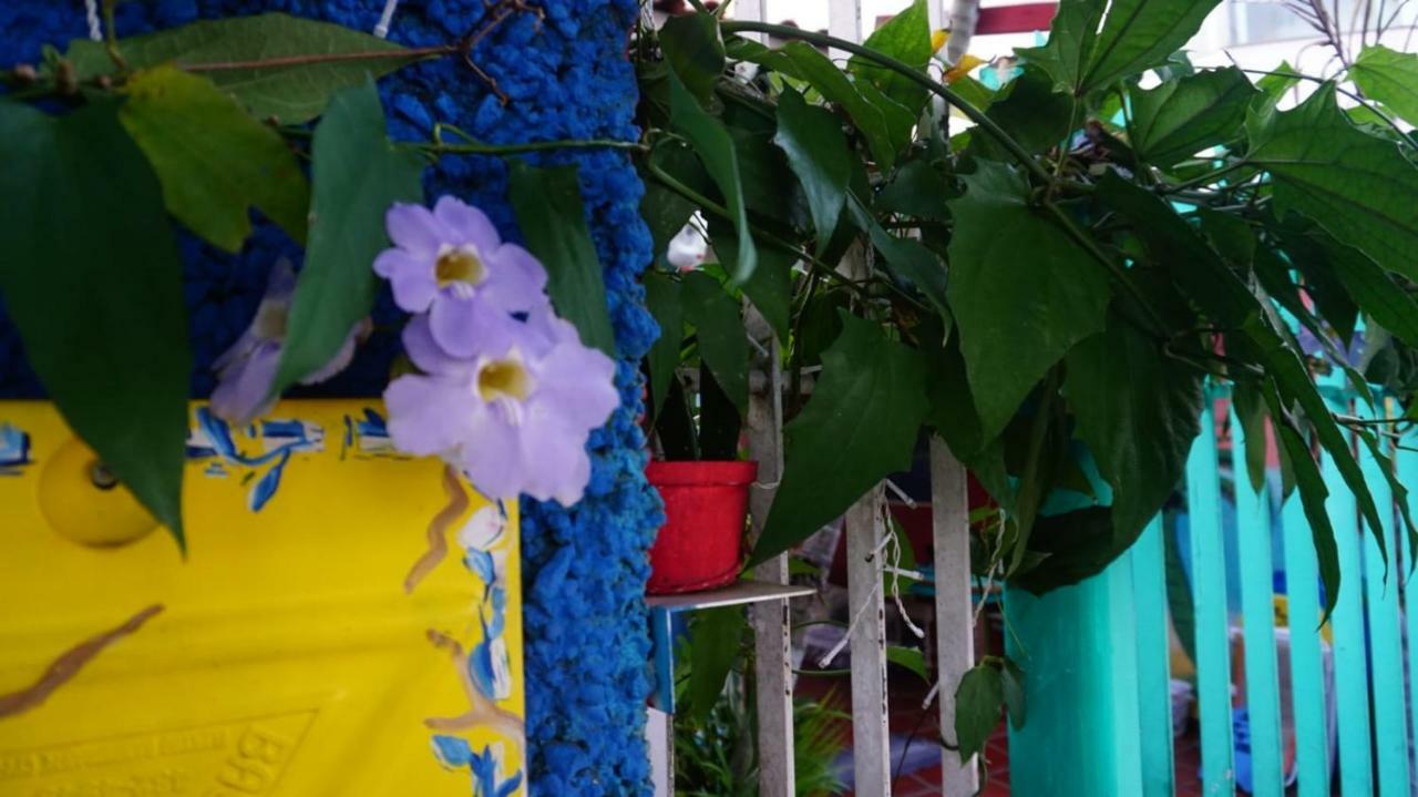 Hostel Tropico De Capricornio - Itagua Убатуба Екстер'єр фото